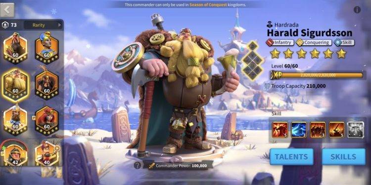 VIP 17. 600 usd + fee