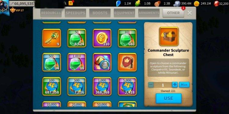 Vip : 17. 1100 usd + fee