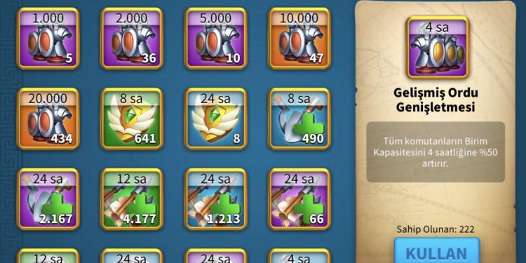 Rise of Kingdoms. 20 Level V Equipment. 11000 usd + fee