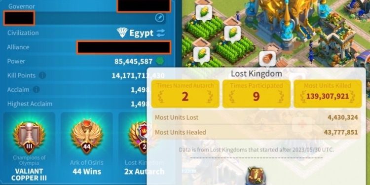 Rise of Kingdoms. VIP18 ( 4m4 point). 950 usd + fee.