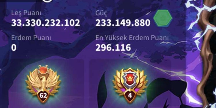 Rise of Kingdoms. 20 Level V Equipment. 11000 usd + fee