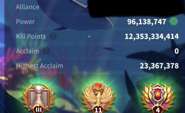 Good formations with high stats. 6 special inscriptions and 12 rare inscriptions. 900 usd + fee. Rise Of Kingdoms