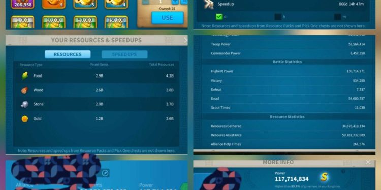 SVIP. 117 Million power. 26 Billion kills. 3000 USD + our Fee