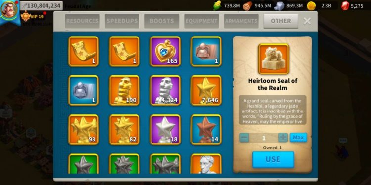 Rise of Kingdoms. 130 Million power. 17 Billion kills. VIP 19. 2000 USD + our Fee