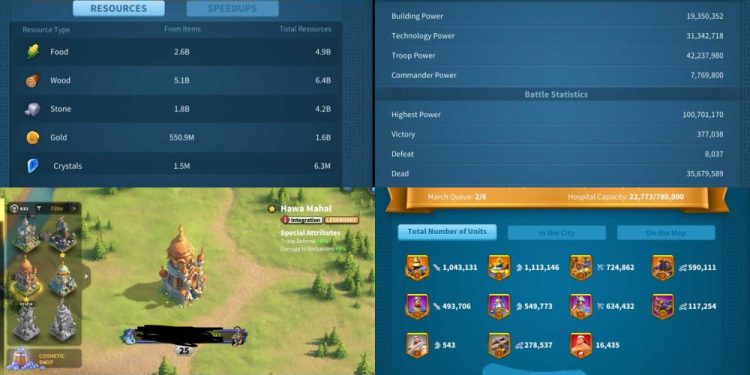 Rise of Kingdoms. 100 Million power, VIP 18. 12 Billion kills. 1000 USD + our Fee