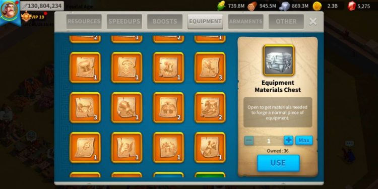 Rise of Kingdoms. 130 Million power. 17 Billion kills. VIP 19. 2000 USD + our Fee