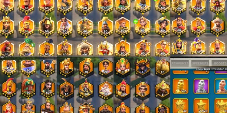 Rise of Kingdoms. 113 Million power, 21 Billion kills, SVIP. 2500 USD + our Fee