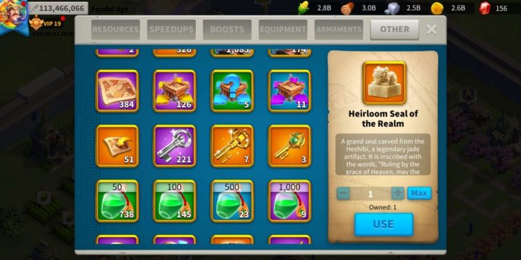 Rise of Kingdoms. 113 Million power. 19 Billion kills. VIP 19. 3000 USD + our Fee