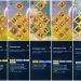 Rise of Kingdoms. Rise of Kingdoms Account For Sale.