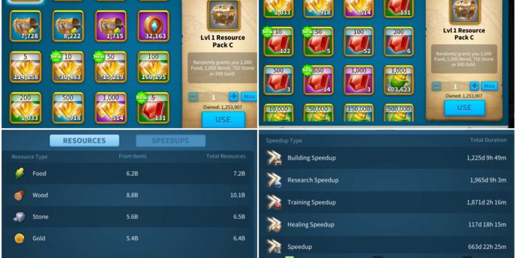 Rise of Kingdoms. 141 Million power, 36 Billion kills, SVIP. 10 000 USD + our Fee