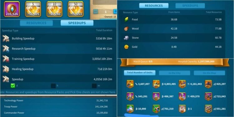 Rise of Kingdoms. 202 Million power, 54 Billion kills and 83 Million dead troops. 21000 USD + our Fee