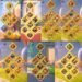Rise of Kingdoms. Rise of Kingdoms Account For Sale.