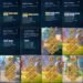 Rise of Kingdoms. Rise of Kingdoms Account For Sale.