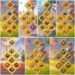 Rise of Kingdoms. Rise of Kingdoms Account For Sale.