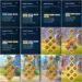 Rise of Kingdoms. Rise of Kingdoms Account For Sale.