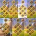 Rise of Kingdoms. Rise of Kingdoms Account For Sale.