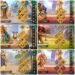 Rise of Kingdoms. Rise of Kingdoms Account For Sale.