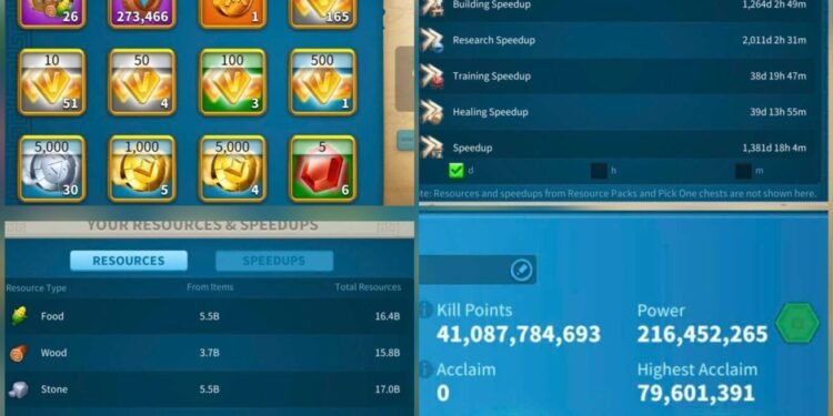 Rise of Kingdoms. 216 Million power, 41 Billion kills. SVIP. 9000 USD + our Fee
