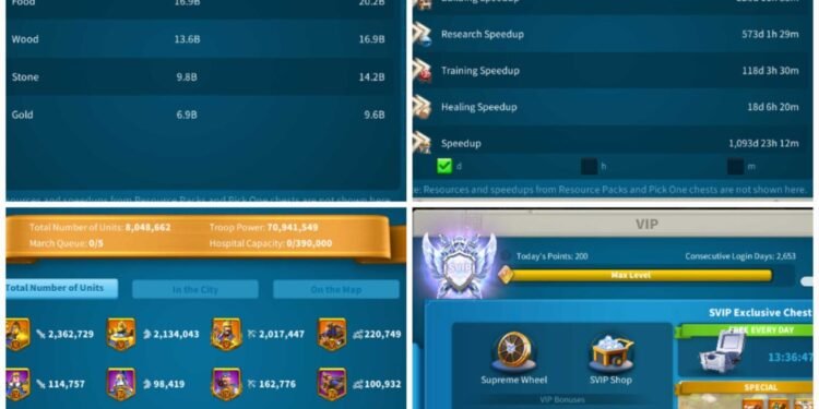 Rise of Kingdoms. 131 Million power, 24 Billion kills, SVIP. 2500 USD + our Fee