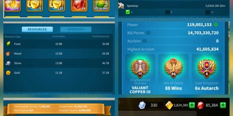Rise of Kingdoms. 119 Million power, 14 Billion kills, SVIP. 3000 USD + our Fee