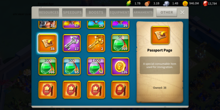 Rise of Kingdoms. 102 Million power, 10.9 Billion kills VIP 17( 1m from 18). 500 usd + fee