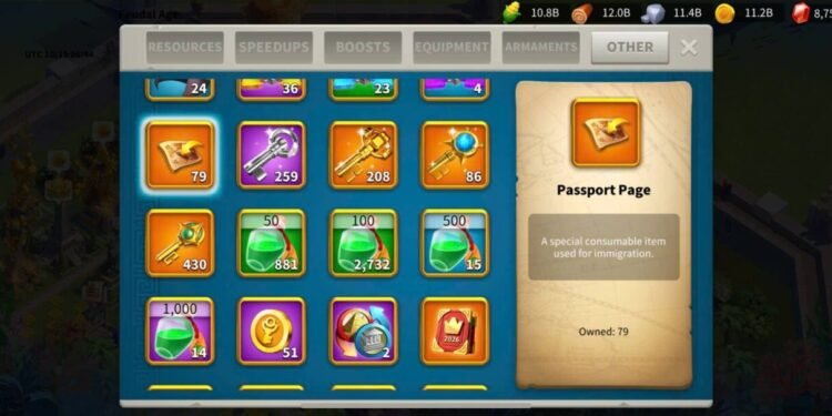 Rise of Kingdoms. 216 Million power, 41 Billion kills. SVIP. 9000 USD + our Fee